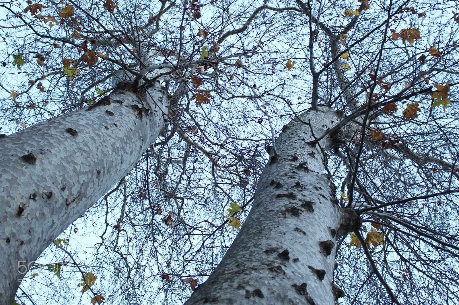 Canon EOS 700D (EOS Rebel T5i / EOS Kiss X7i) sample photo. Untitled photography