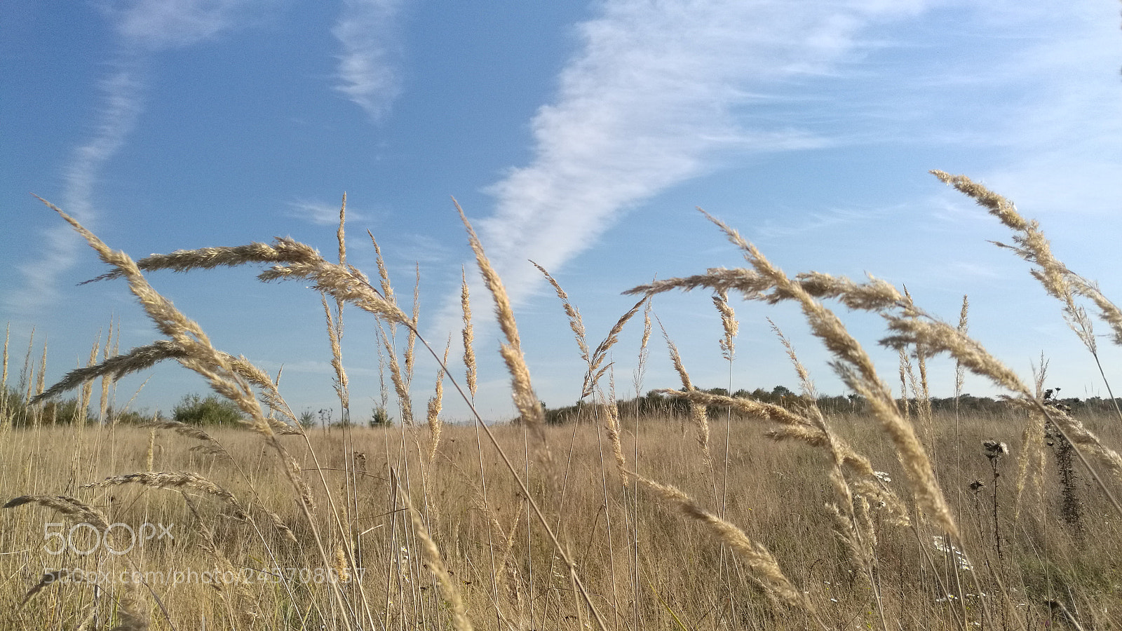 HUAWEI Mate 8 sample photo. Untitled photography