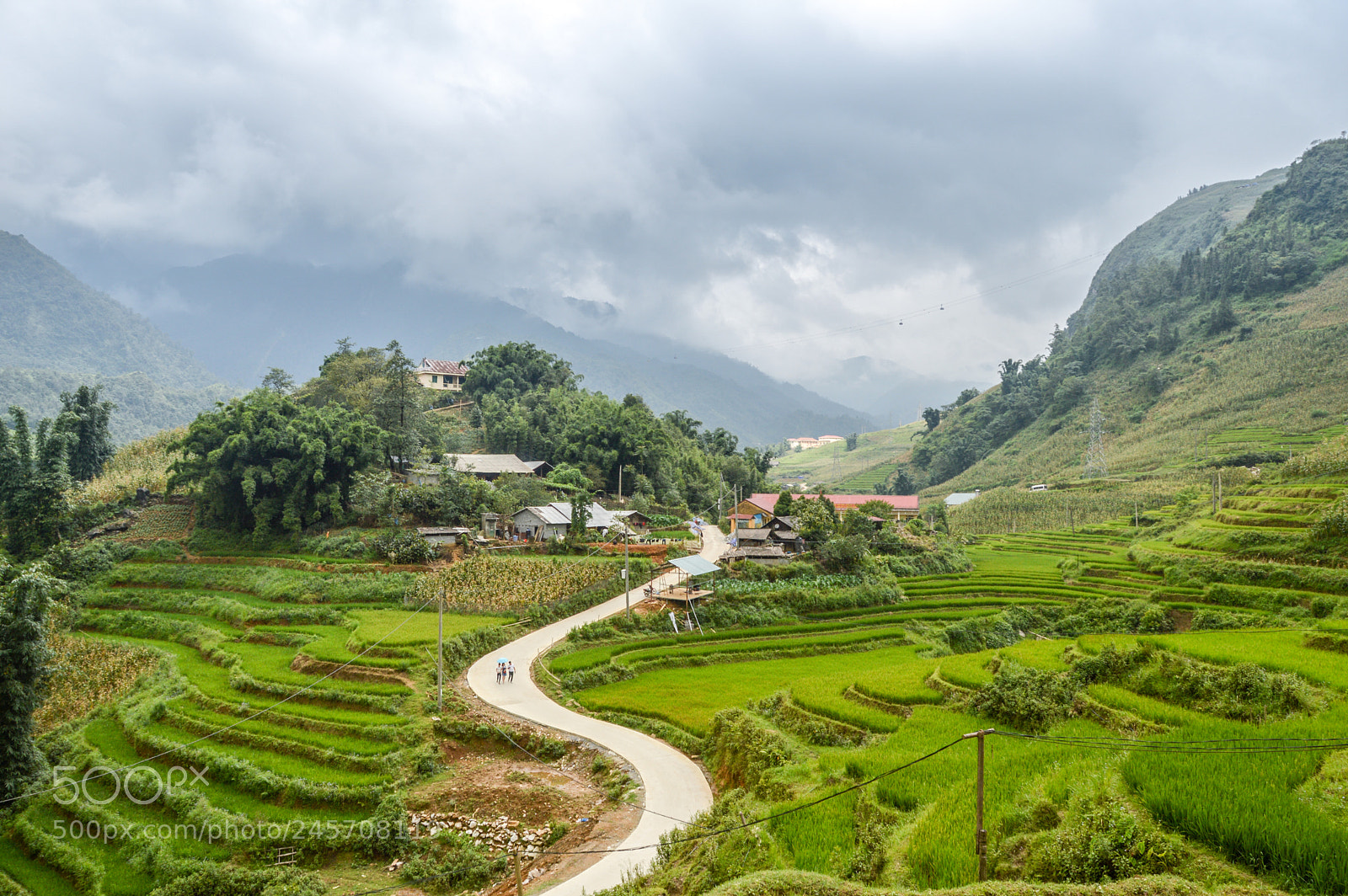 Nikon D3200 sample photo. Rice field sapa photography