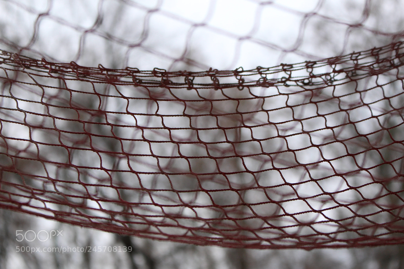 Canon EOS 700D (EOS Rebel T5i / EOS Kiss X7i) sample photo. Untitled photography