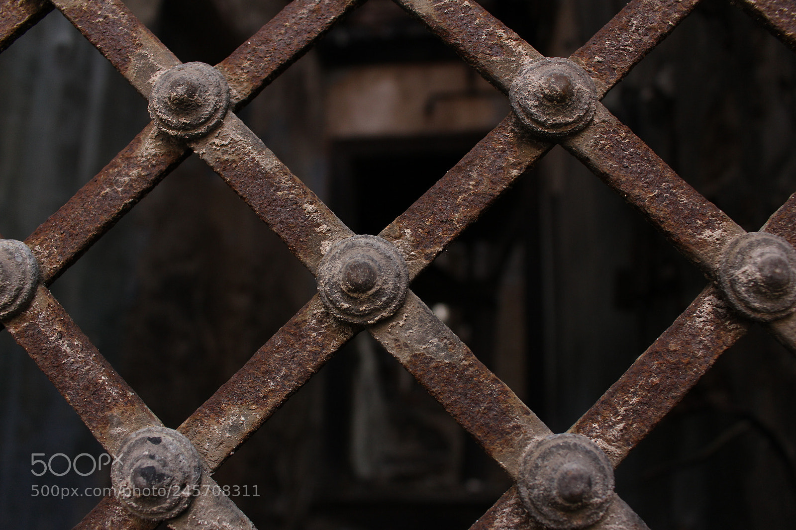 Canon EOS 700D (EOS Rebel T5i / EOS Kiss X7i) sample photo. Untitled photography
