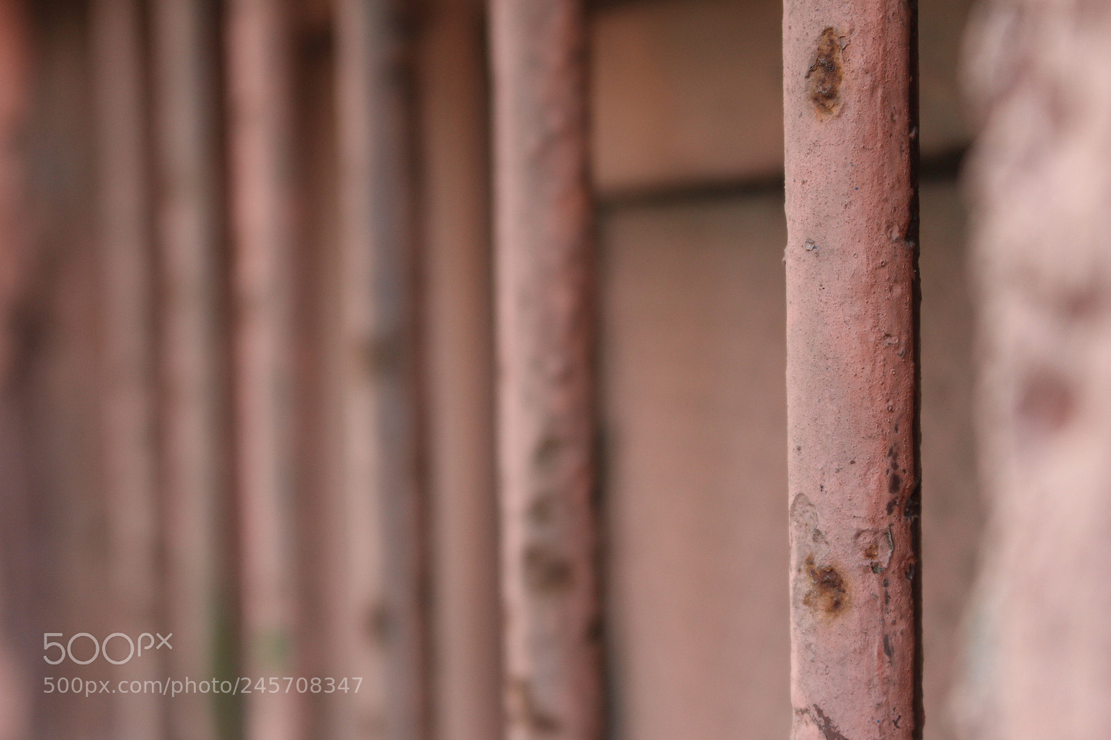 Canon EOS 700D (EOS Rebel T5i / EOS Kiss X7i) sample photo. Untitled photography