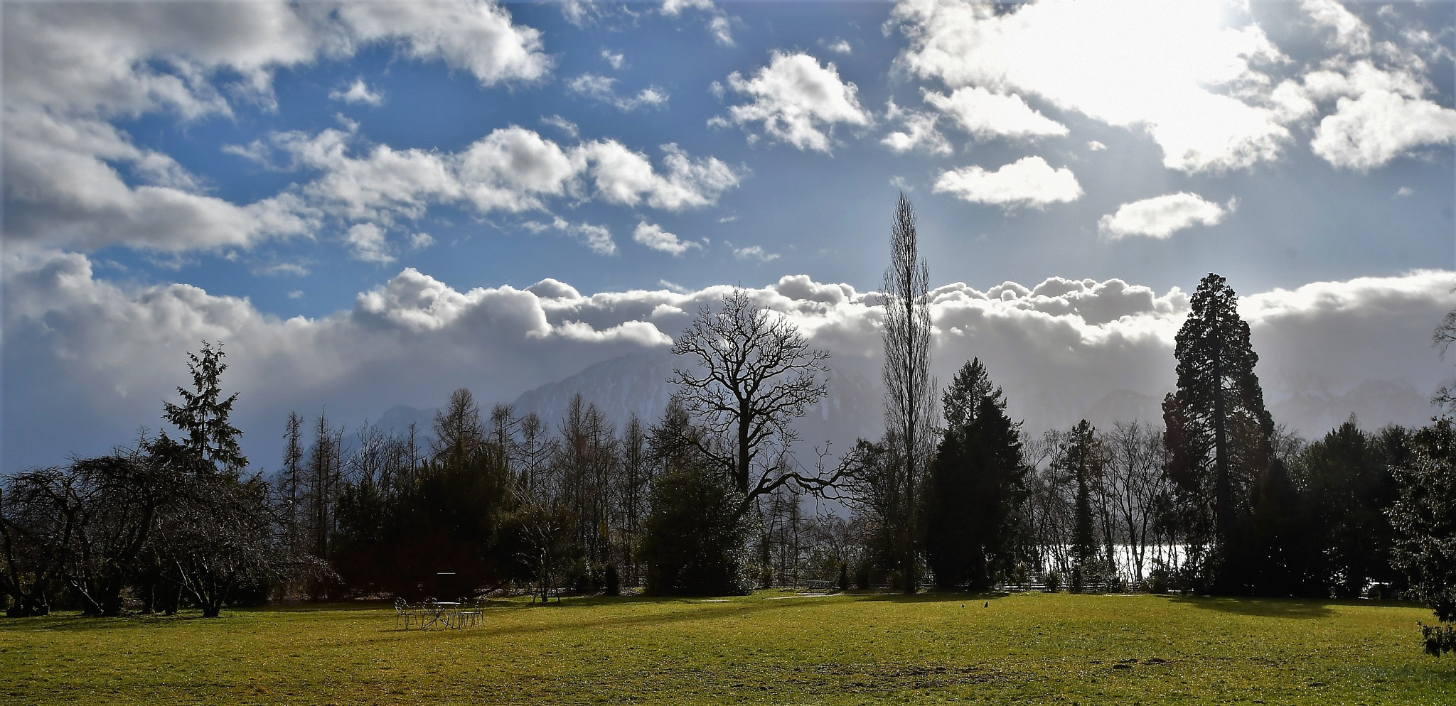 Nikon D500 sample photo. Il parco di charlie chaplin photography