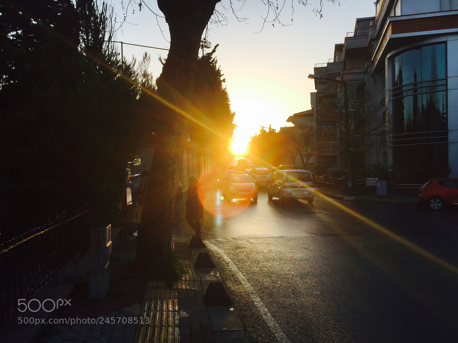 Apple iPhone 6 sample photo. Untitled photography