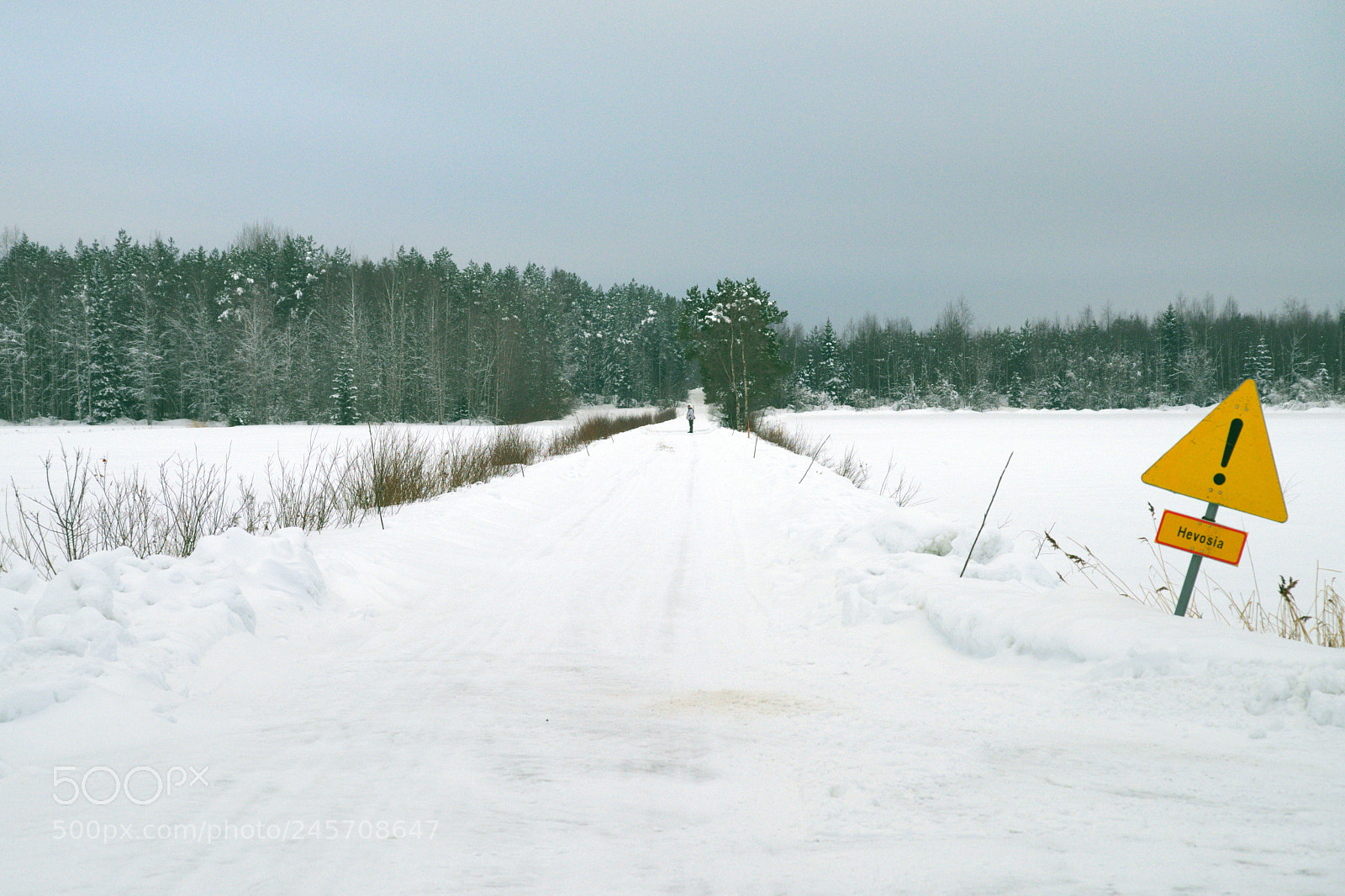 Pentax K-1 sample photo. Crossroads, winter scene photography