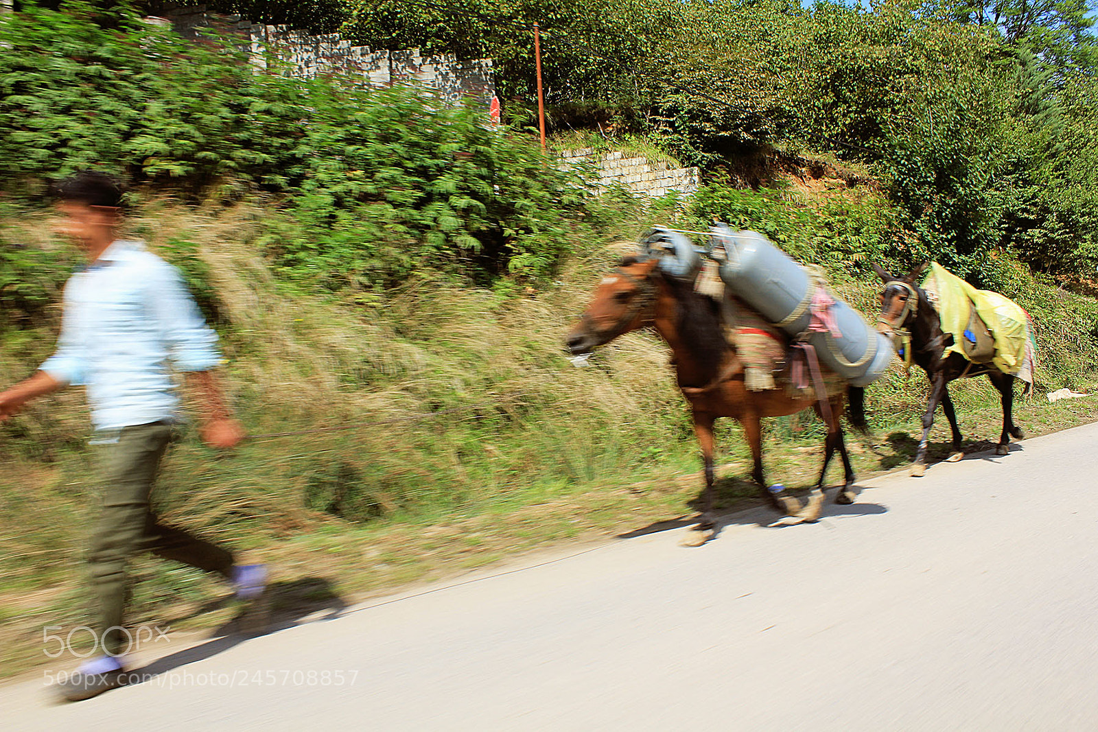 Canon EOS 550D (EOS Rebel T2i / EOS Kiss X4) sample photo. Transportation photography