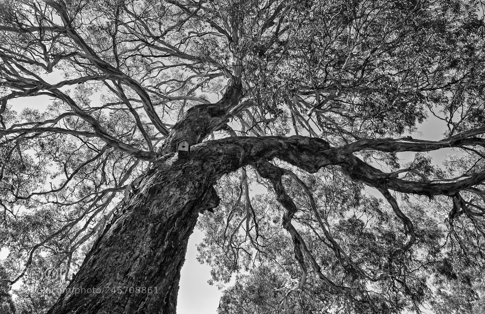 Fujifilm X-E2 sample photo. Bird house photography