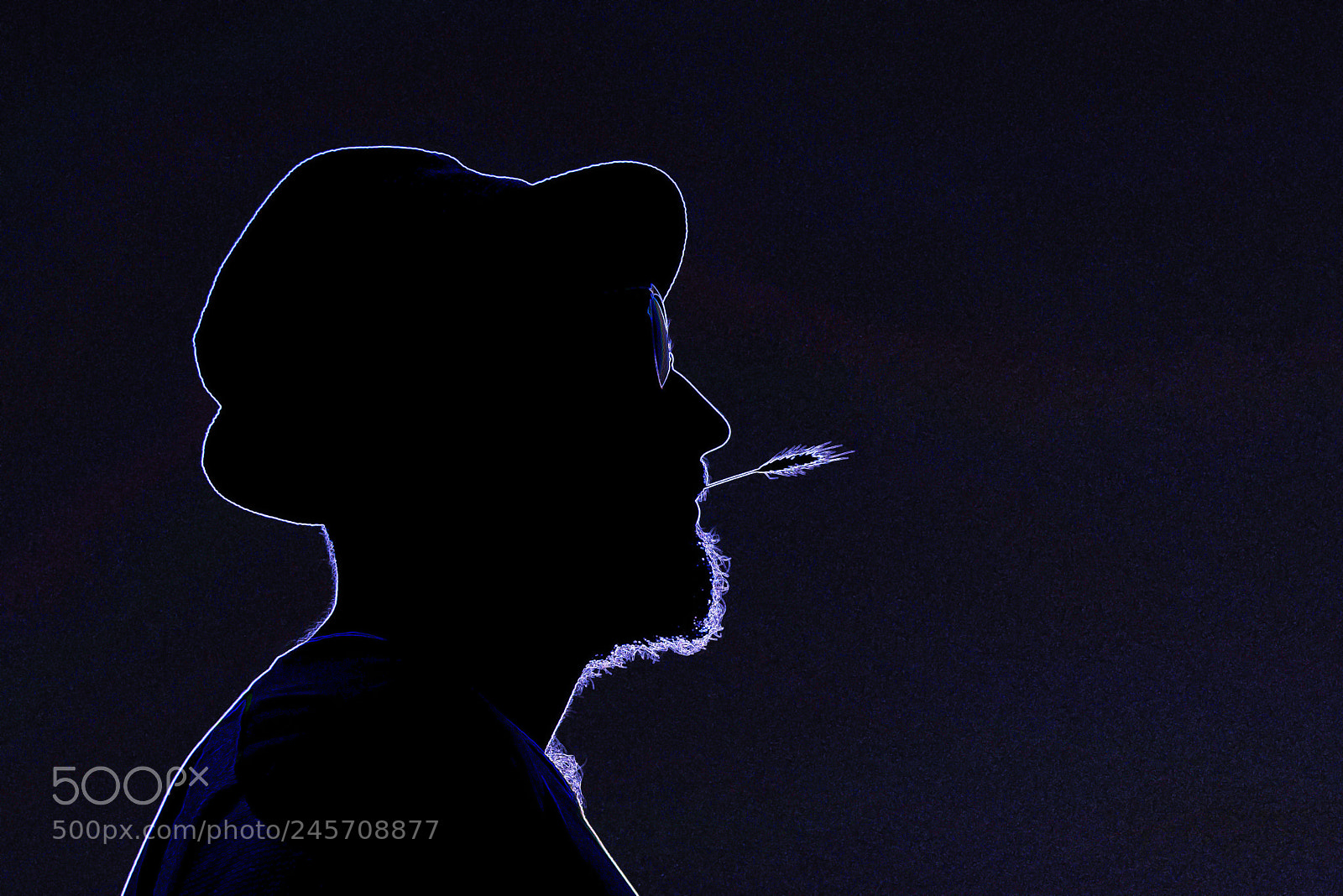 Nikon D800E sample photo. Silhouette of man photography