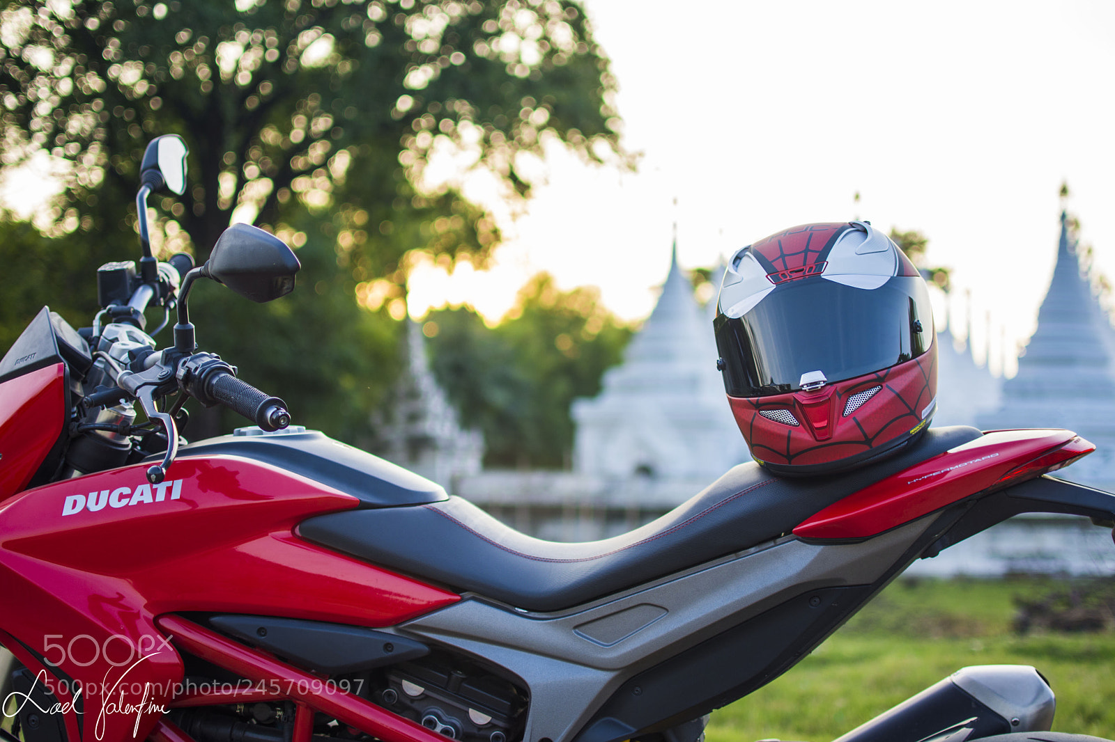 Nikon D7200 sample photo. All about red photography