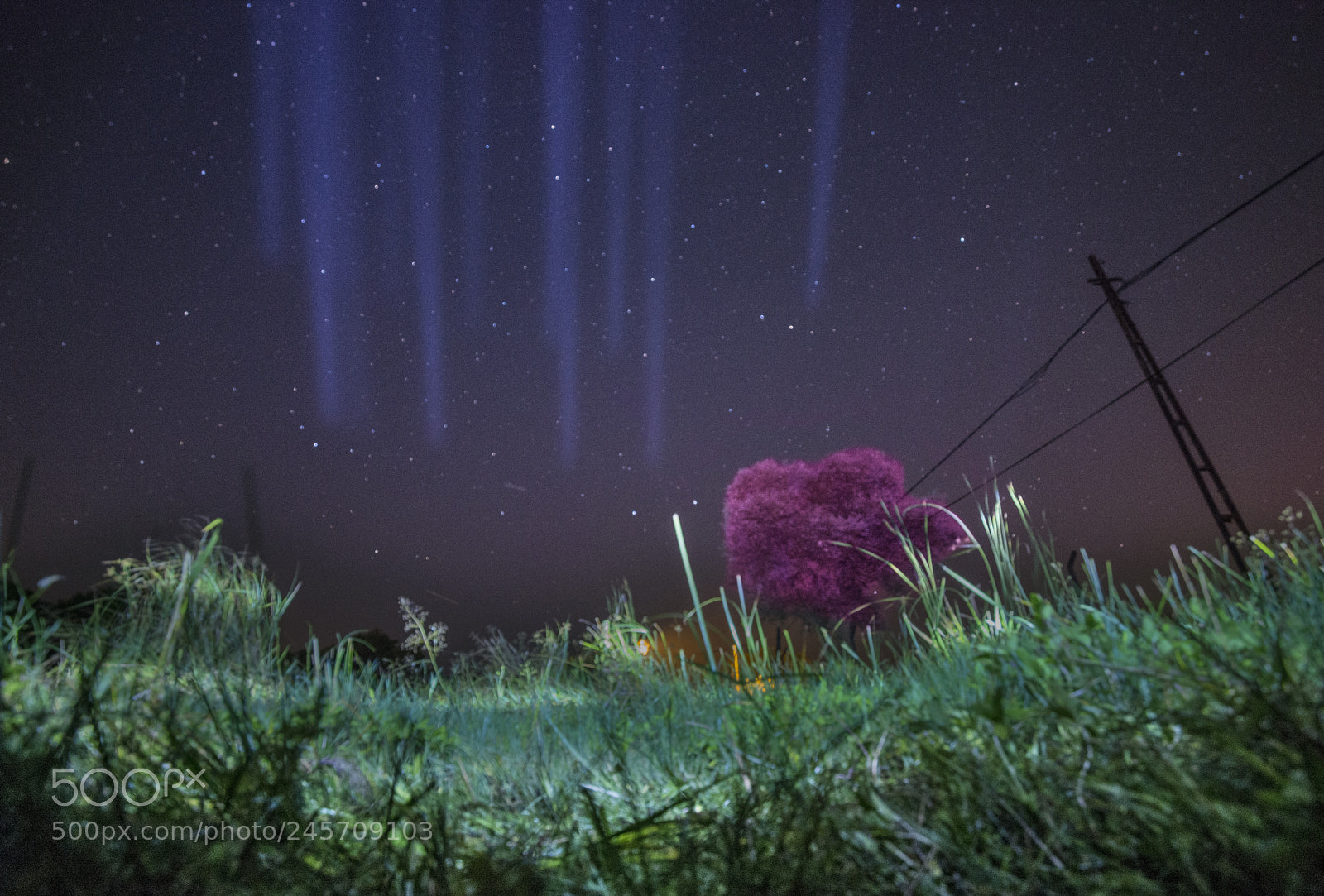 Nikon D800 sample photo. Night shoot photography