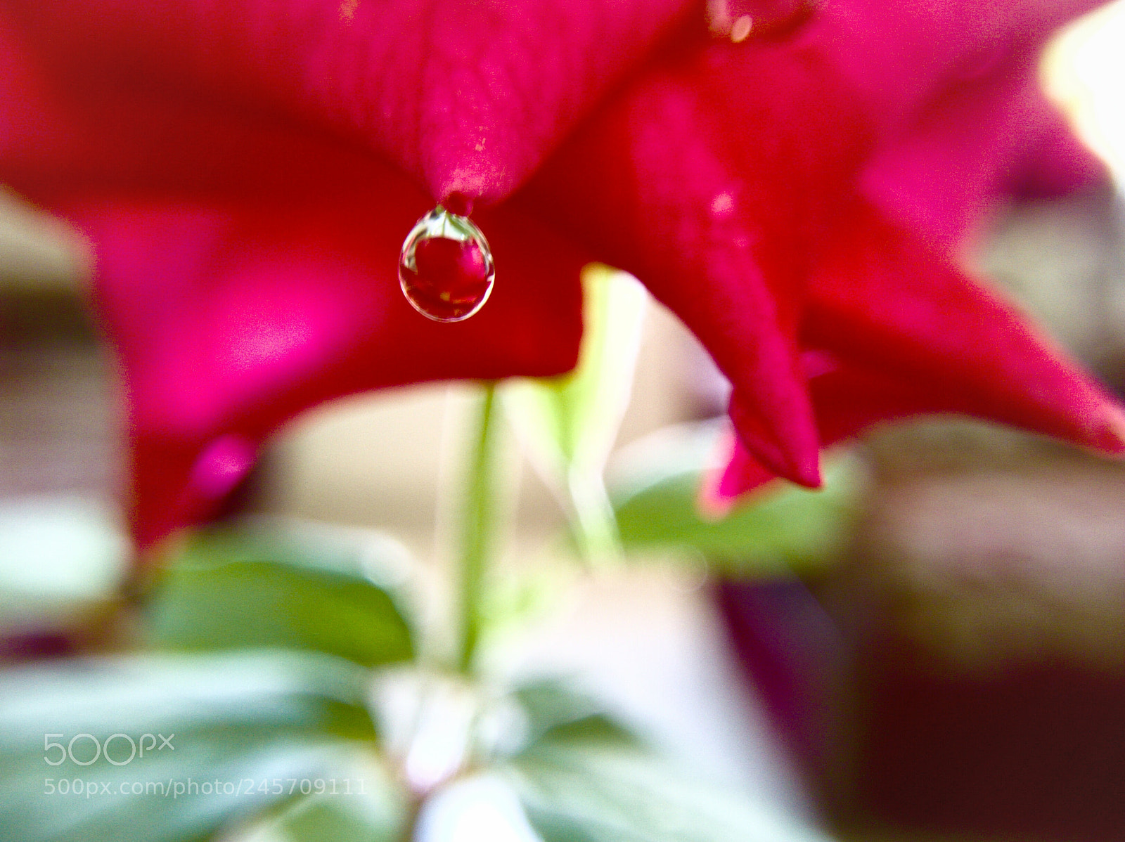OPPO A37fw-International sample photo. Untitled photography
