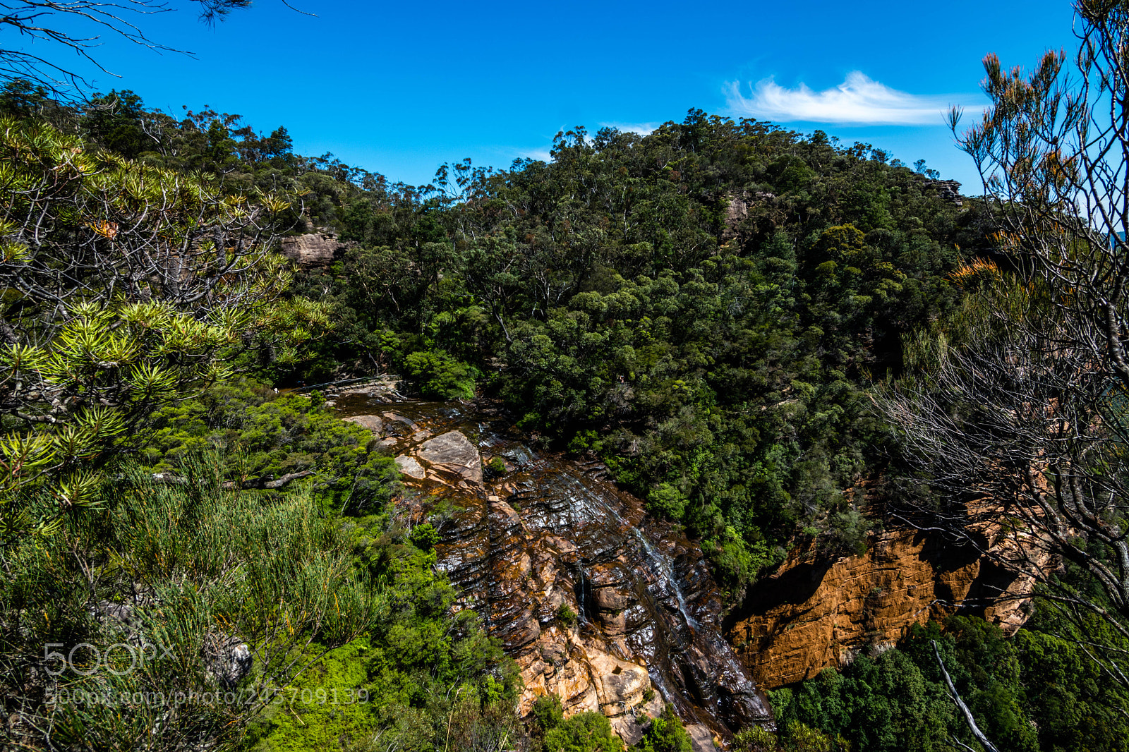 Nikon D5500 sample photo. Wentworth falls top view photography