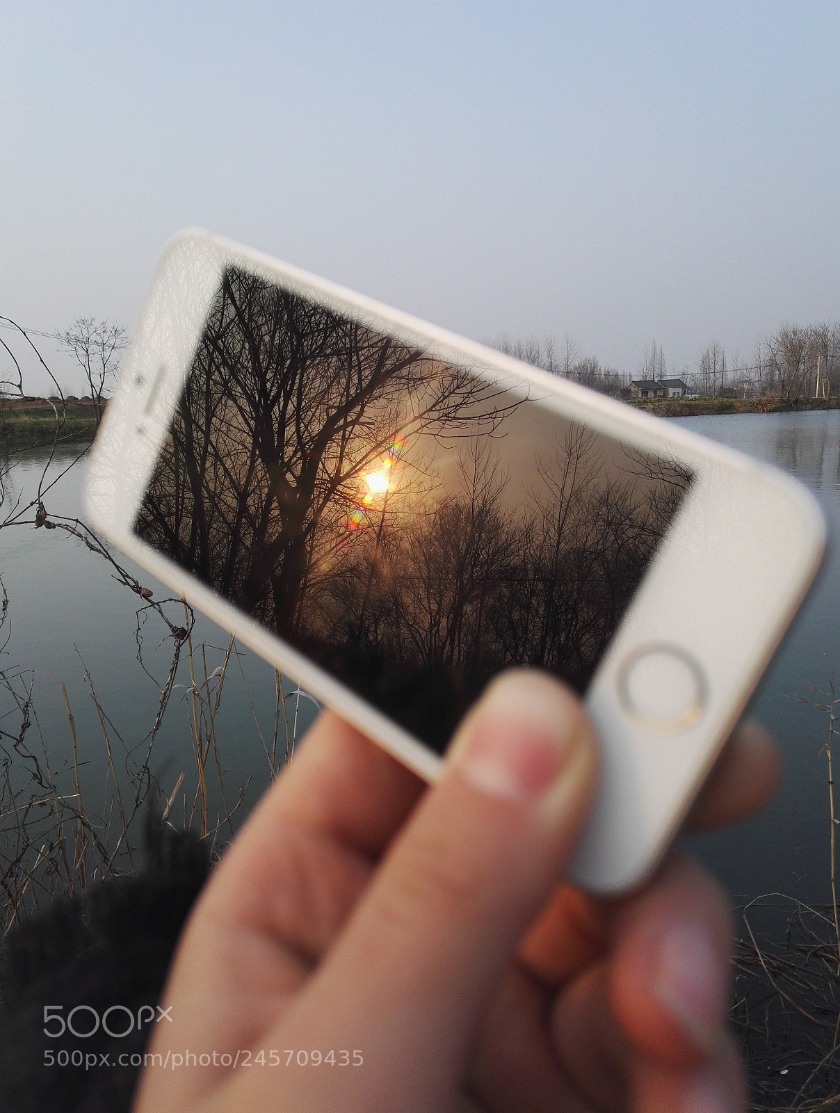 HUAWEI Honor 7 sample photo. Untitled photography
