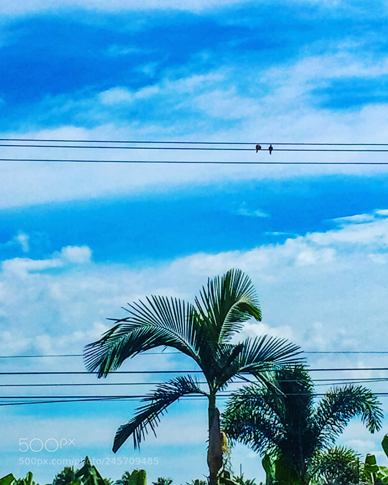 Apple iPhone 6 sample photo. Valentine date of two photography