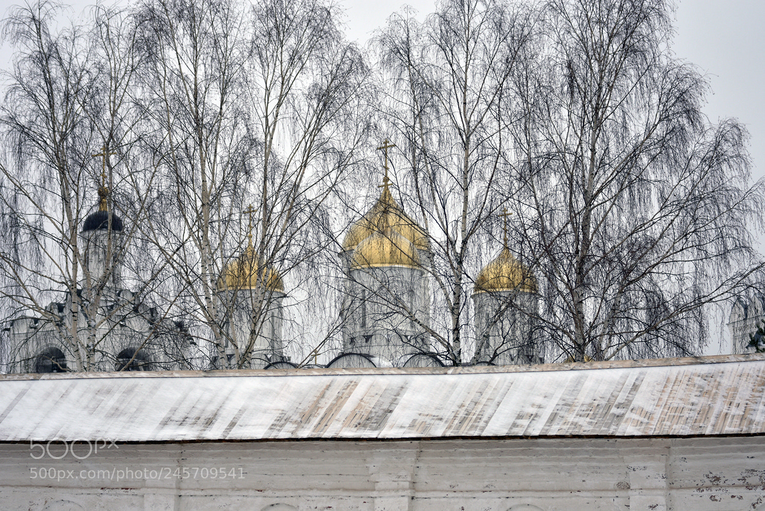 Nikon D7200 sample photo. Монастырская стена photography