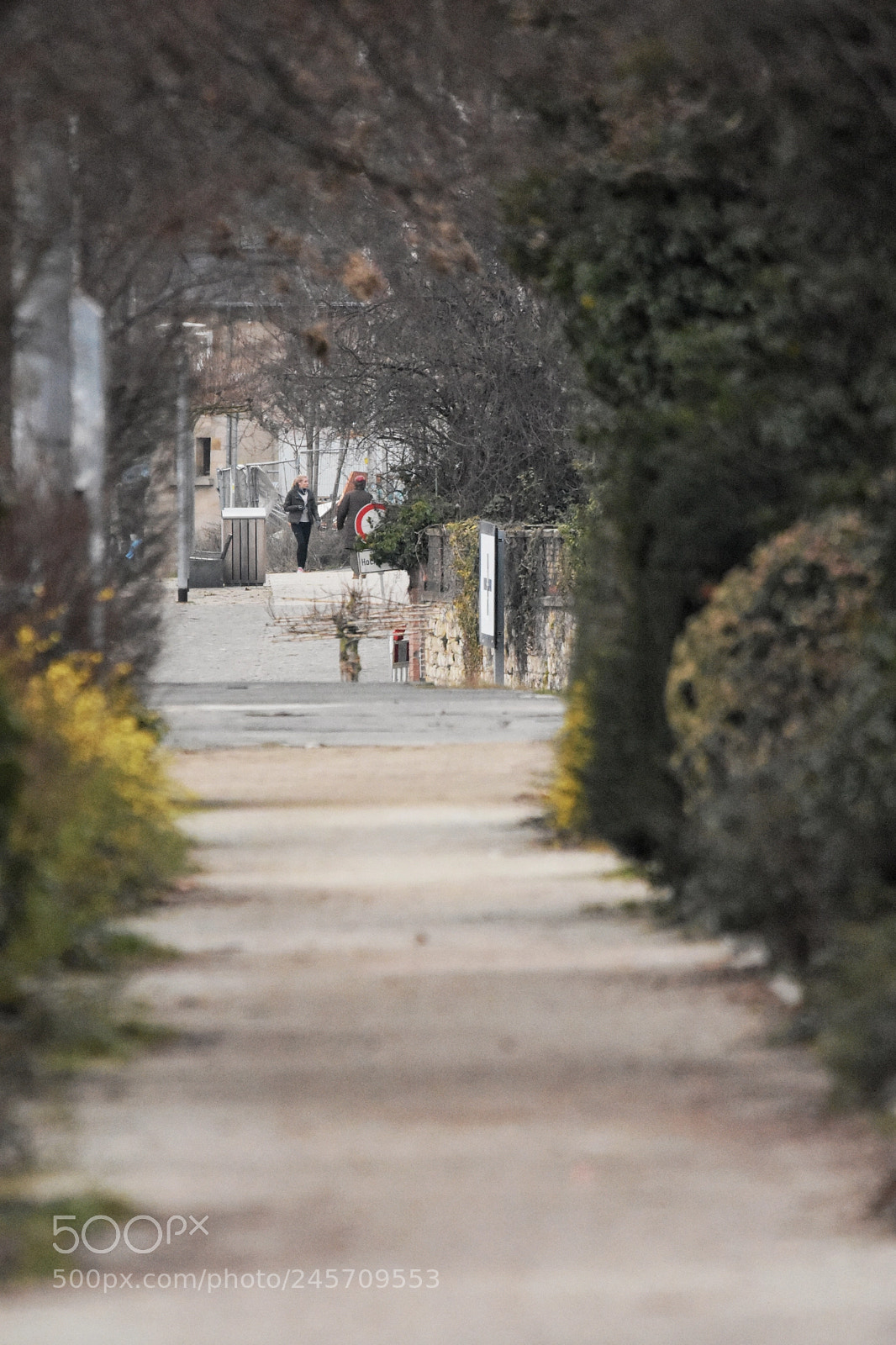 Nikon D7200 sample photo. 'closeness' photography