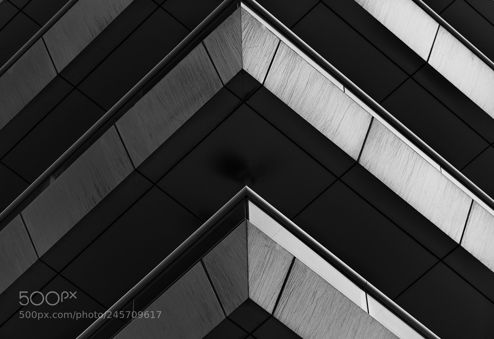 Nikon D810 sample photo. Pointy photography