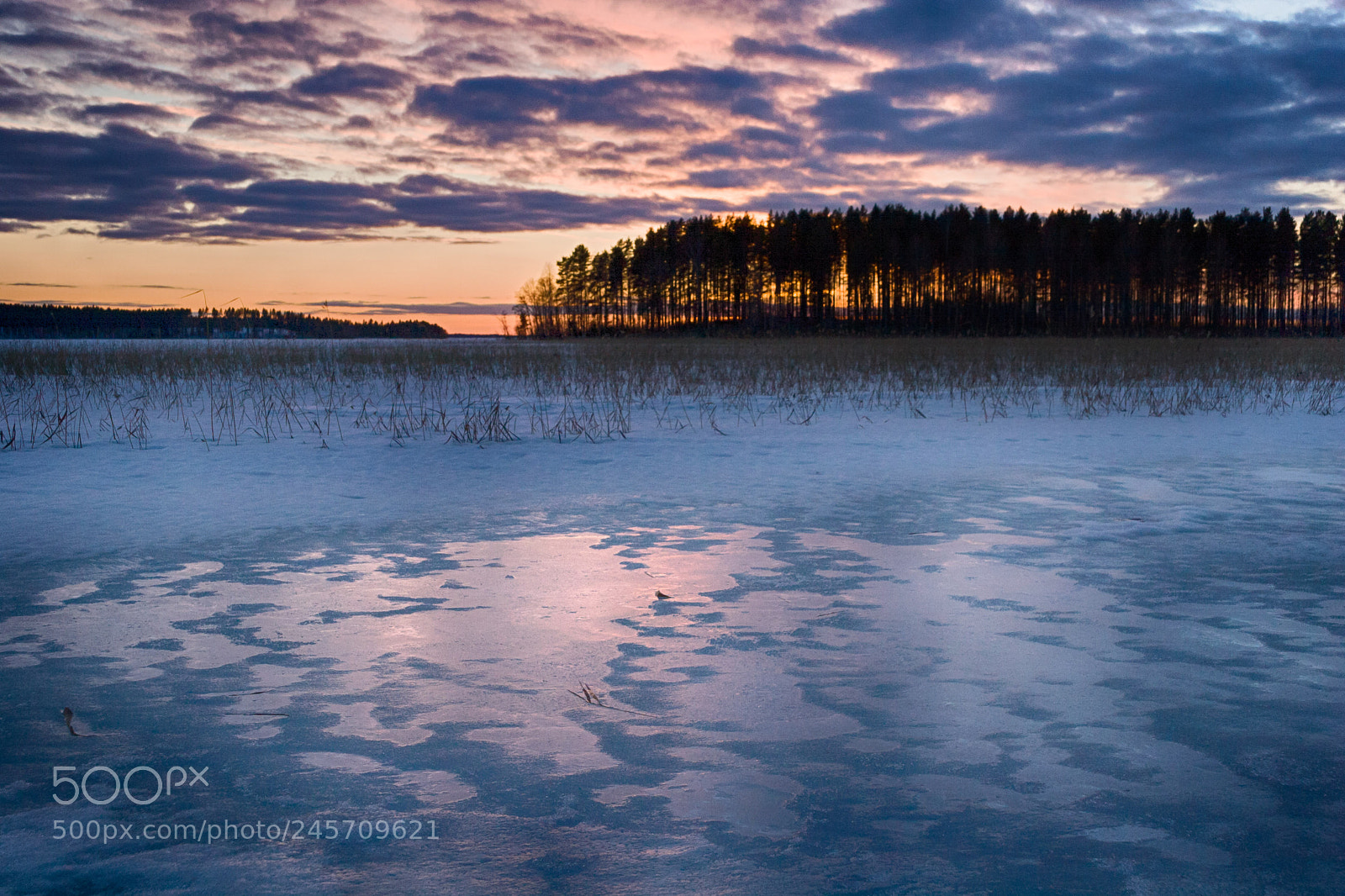 Canon EOS 20D sample photo. Colors of winter photography