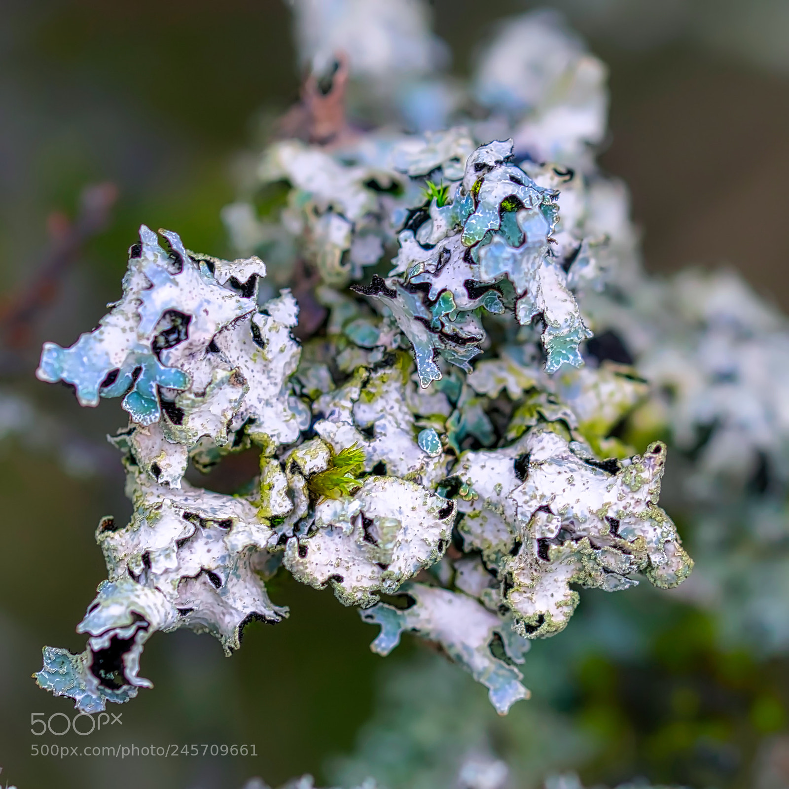 Sony ILCA-77M2 sample photo. In the world of photography
