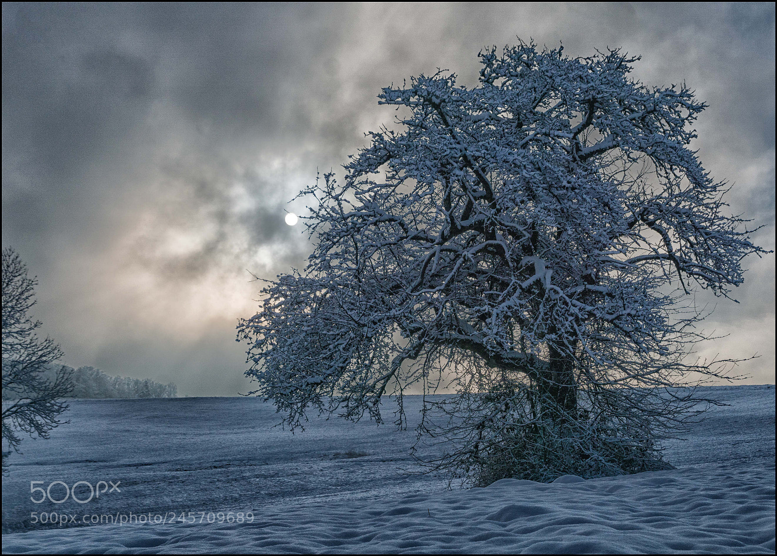 Sony ILCA-77M2 sample photo. Endlich winter-leider nur kurz! photography
