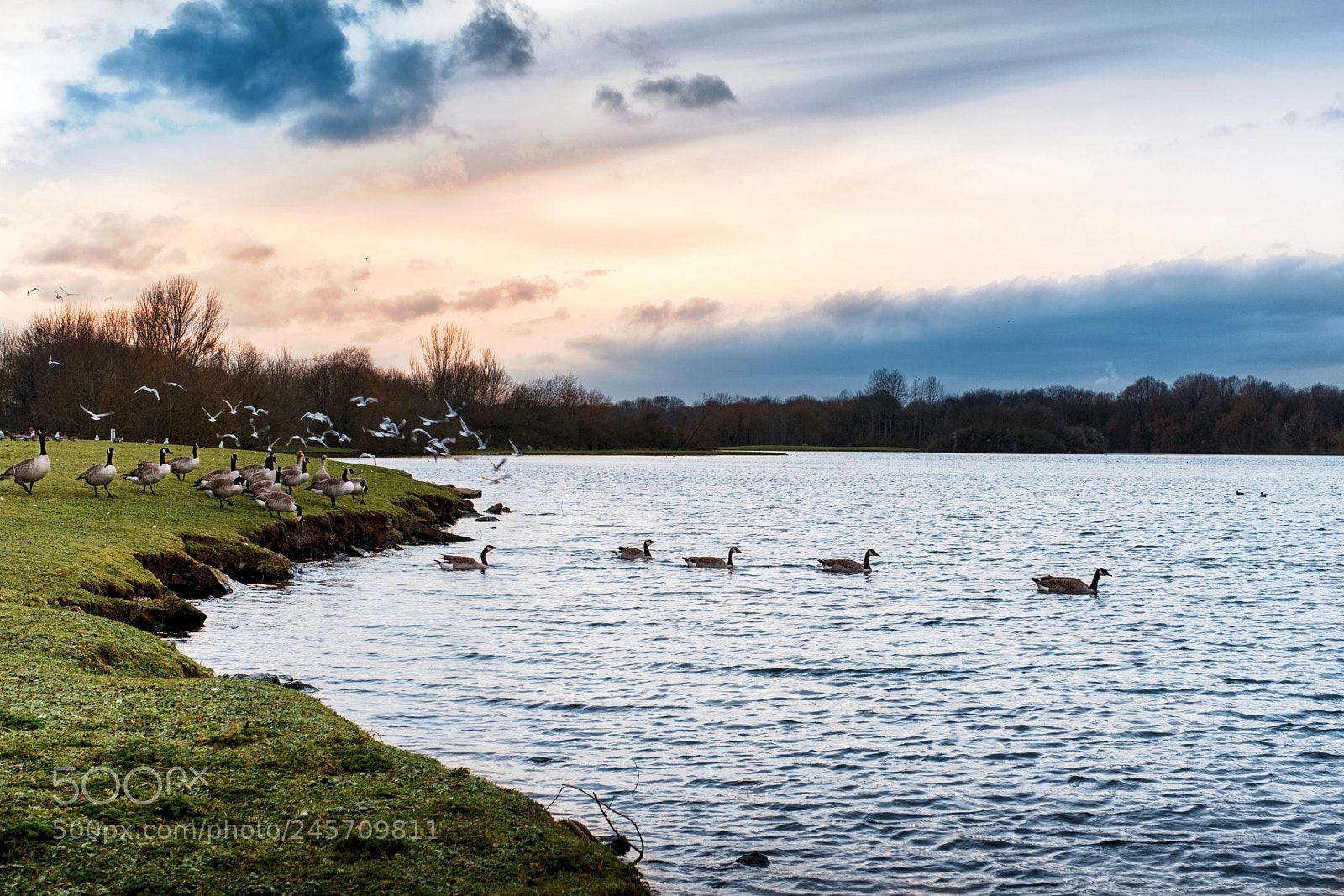 Fujifilm X-T2 sample photo. Colwick photography