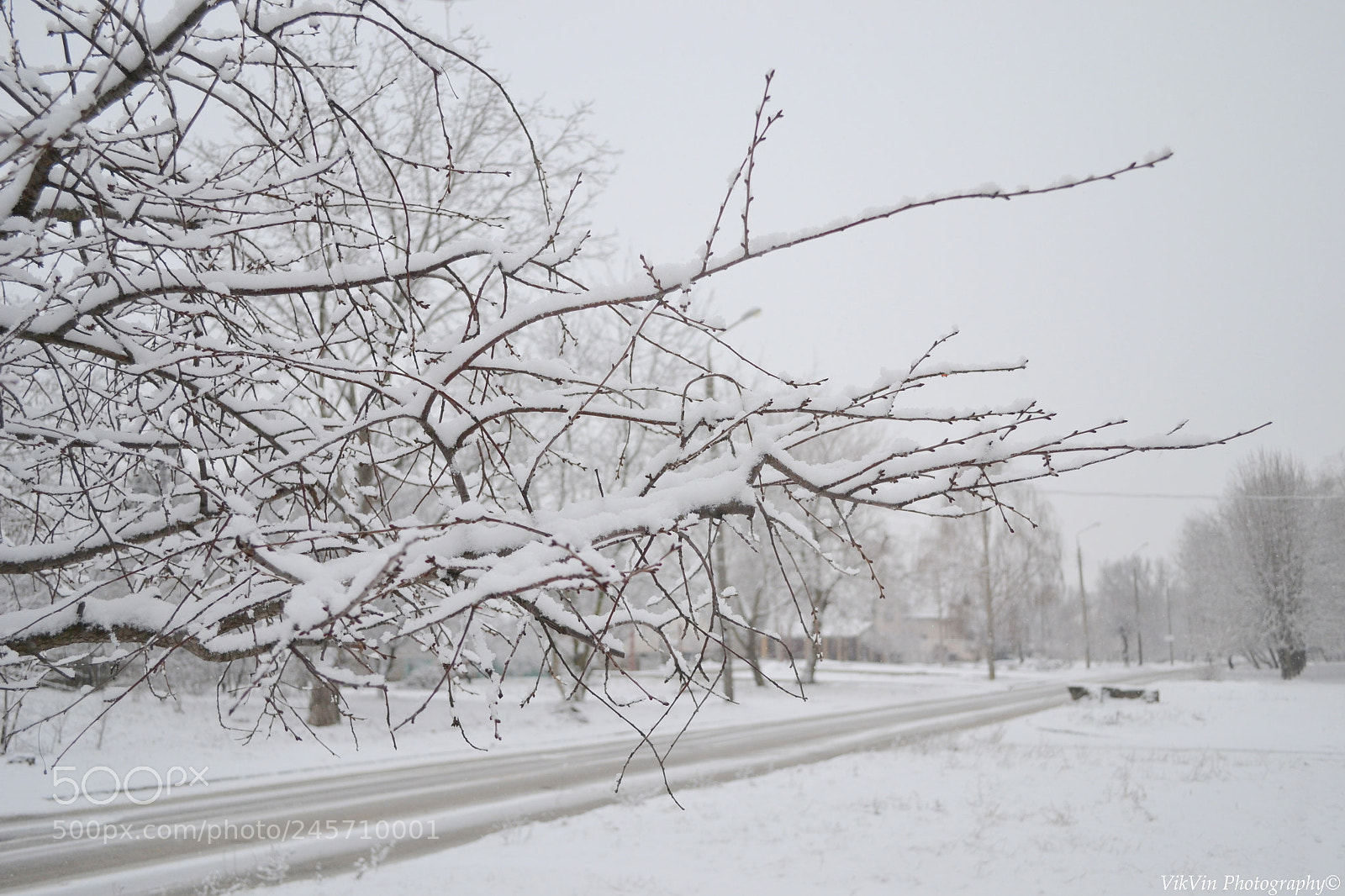 Nikon D3100 sample photo. Winter silence photography