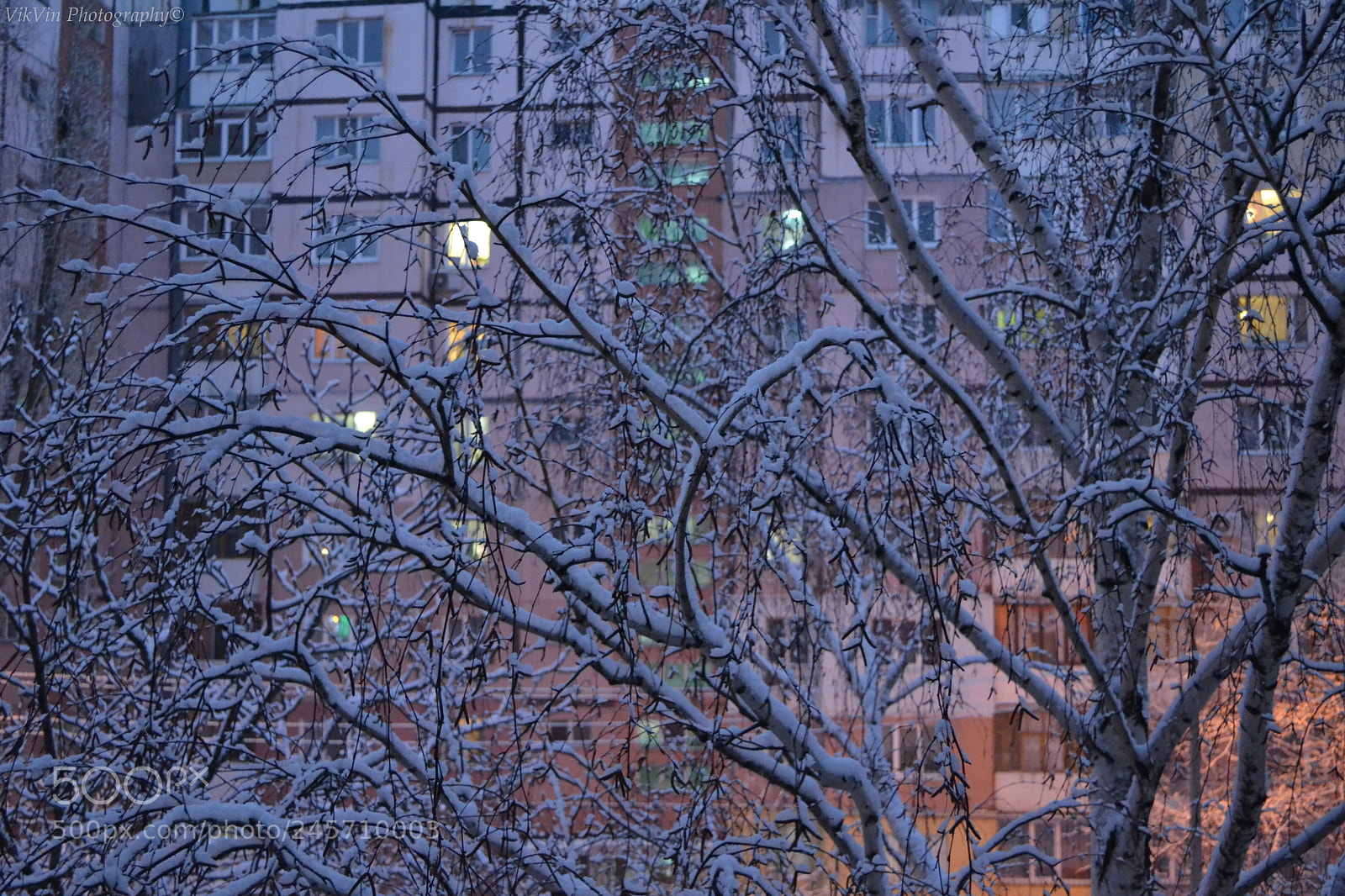 Nikon D3100 sample photo. View from the window photography