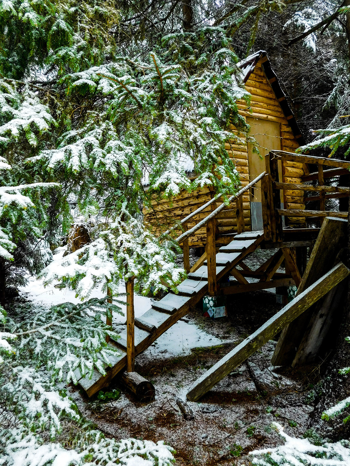 Nikon Coolpix L840 sample photo. Cabin in the woods photography