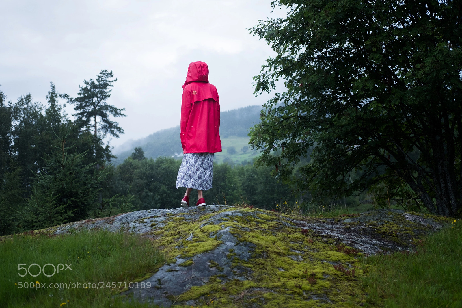 Fujifilm X-Pro2 sample photo. Rainy sunday photography