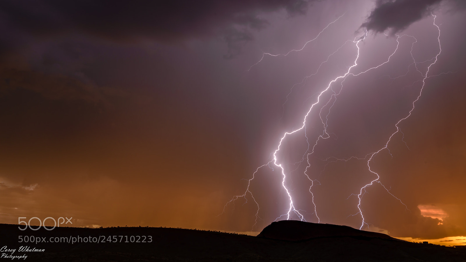Nikon D610 sample photo. The power of zeus photography