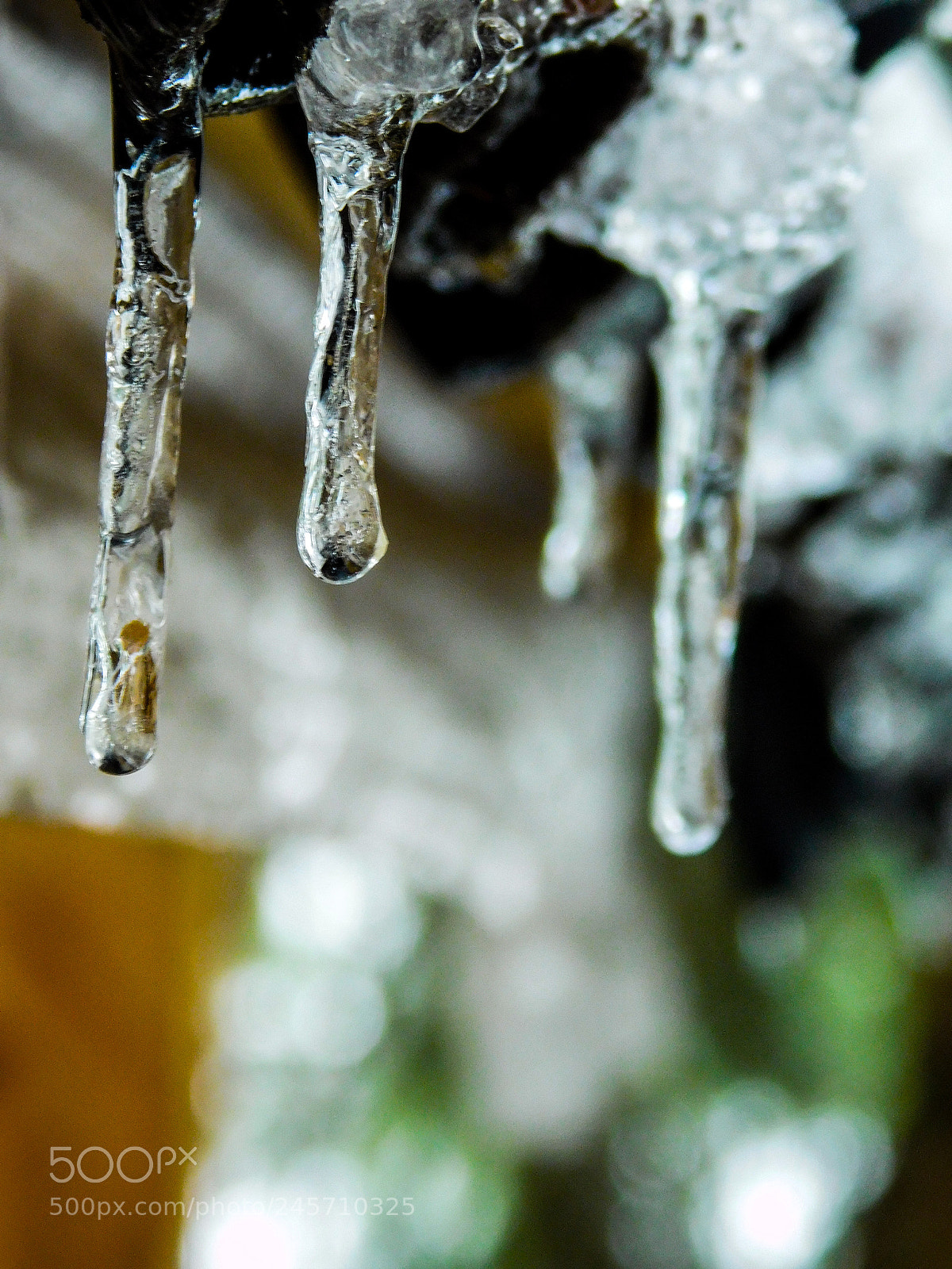 Nikon Coolpix L840 sample photo. Cold killers photography
