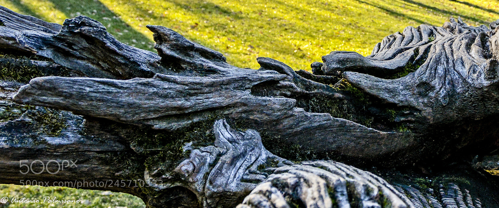 Nikon D7100 sample photo. Untitled photography