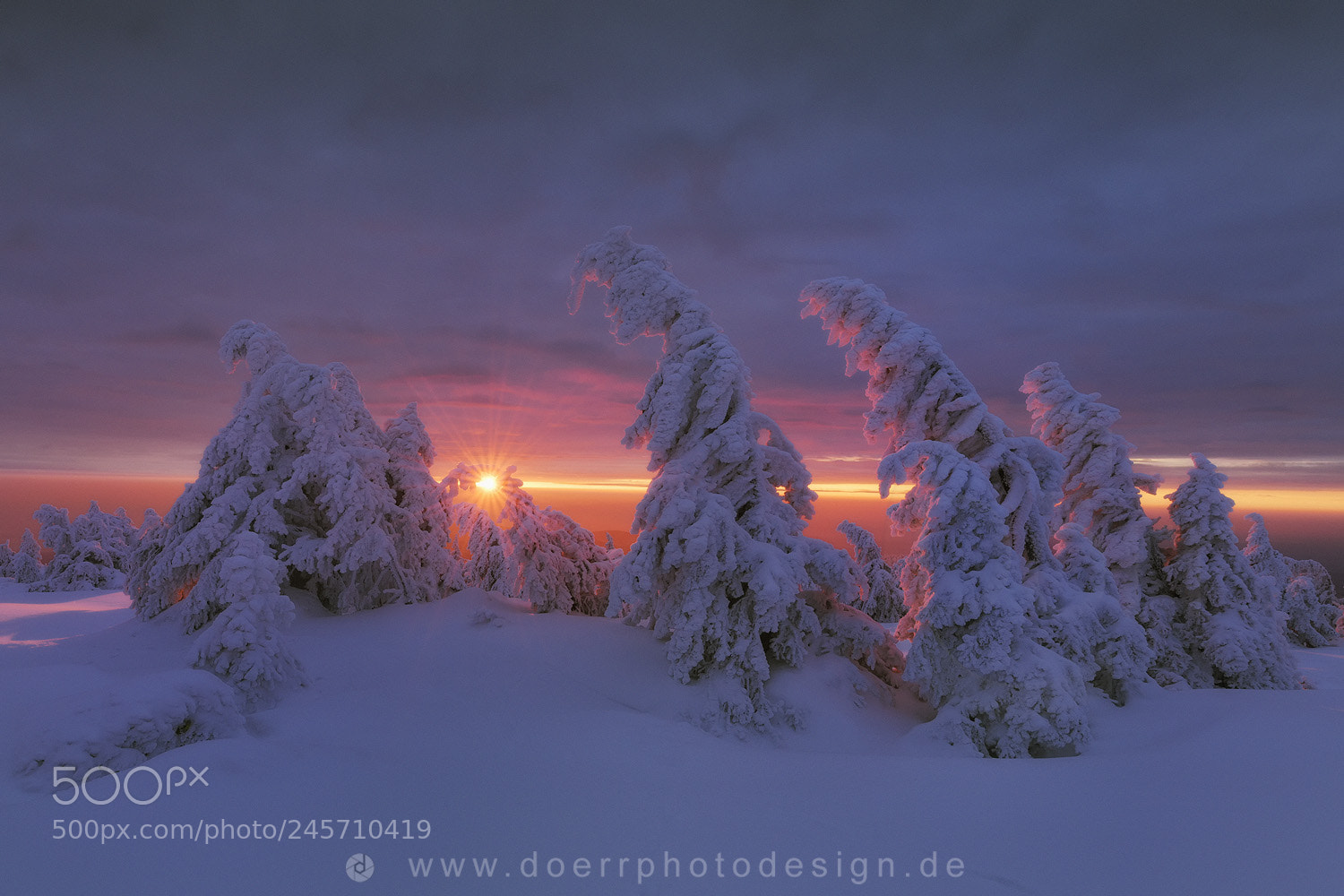 Nikon D850 sample photo. Winter sunlight photography