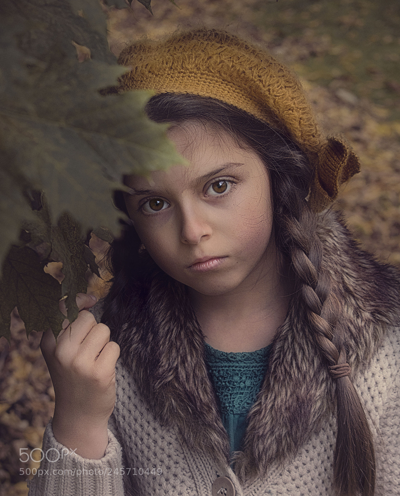 Nikon D5500 sample photo. Untitled photography