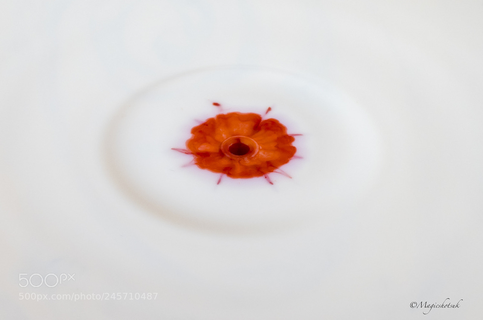 Olympus OM-D E-M1 Mark II sample photo. Flower photography