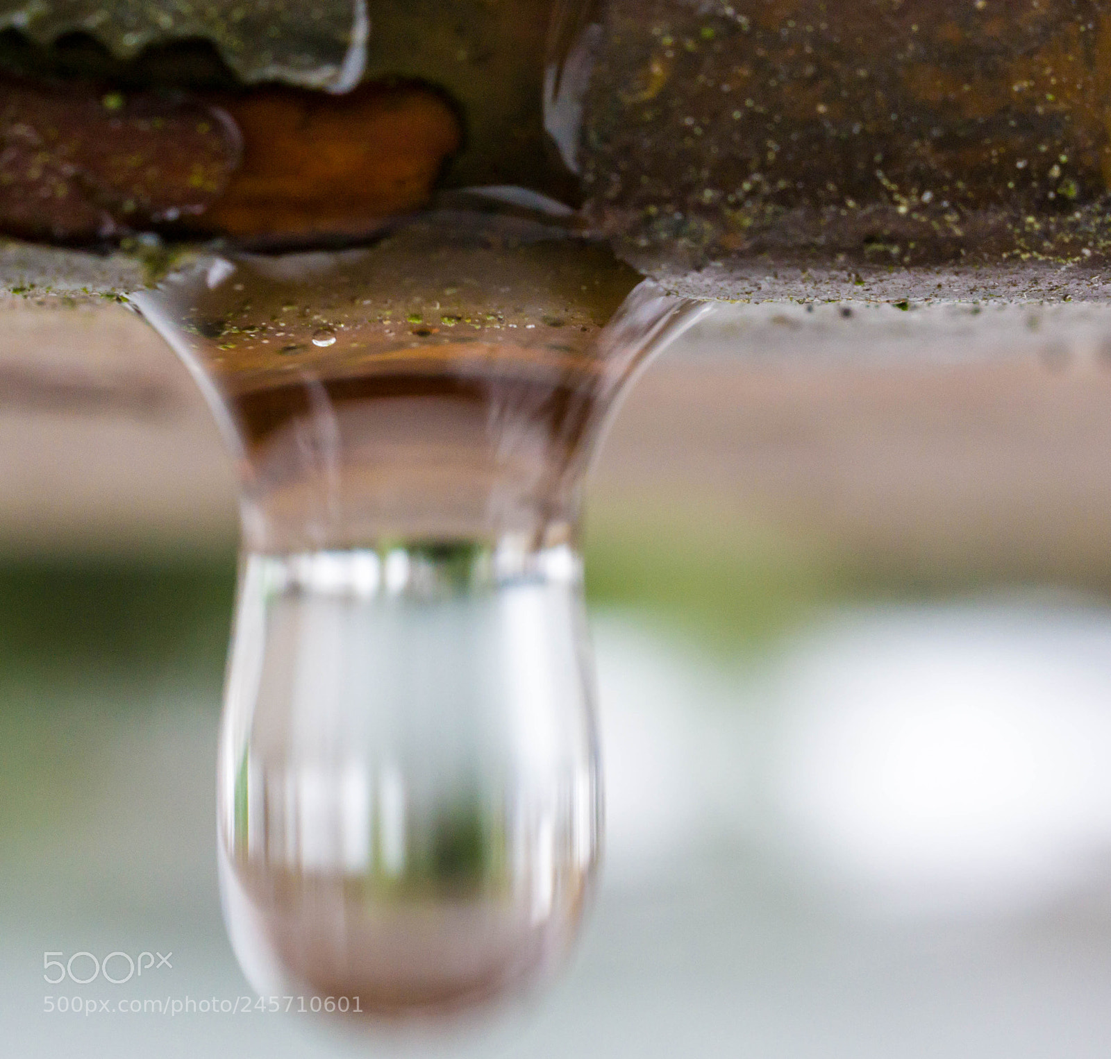 Pentax K-3 II sample photo. Little water bomb photography