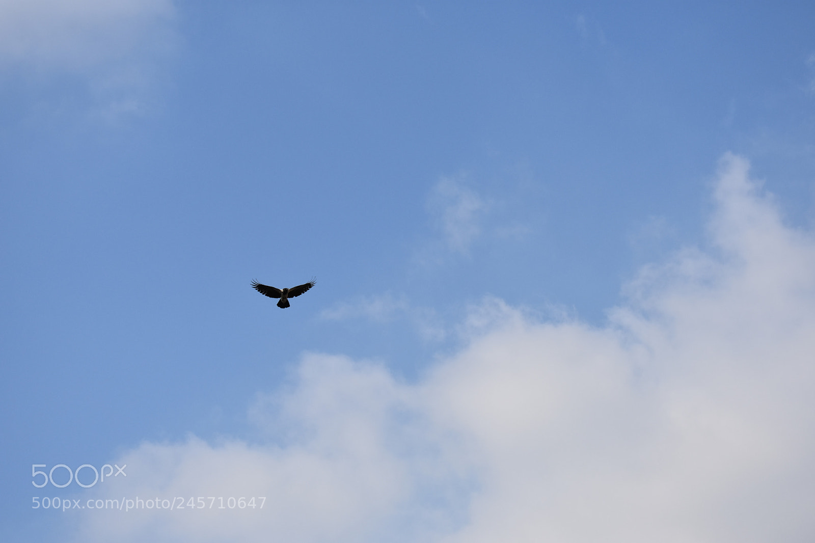 Nikon D3400 sample photo. Untitled photography