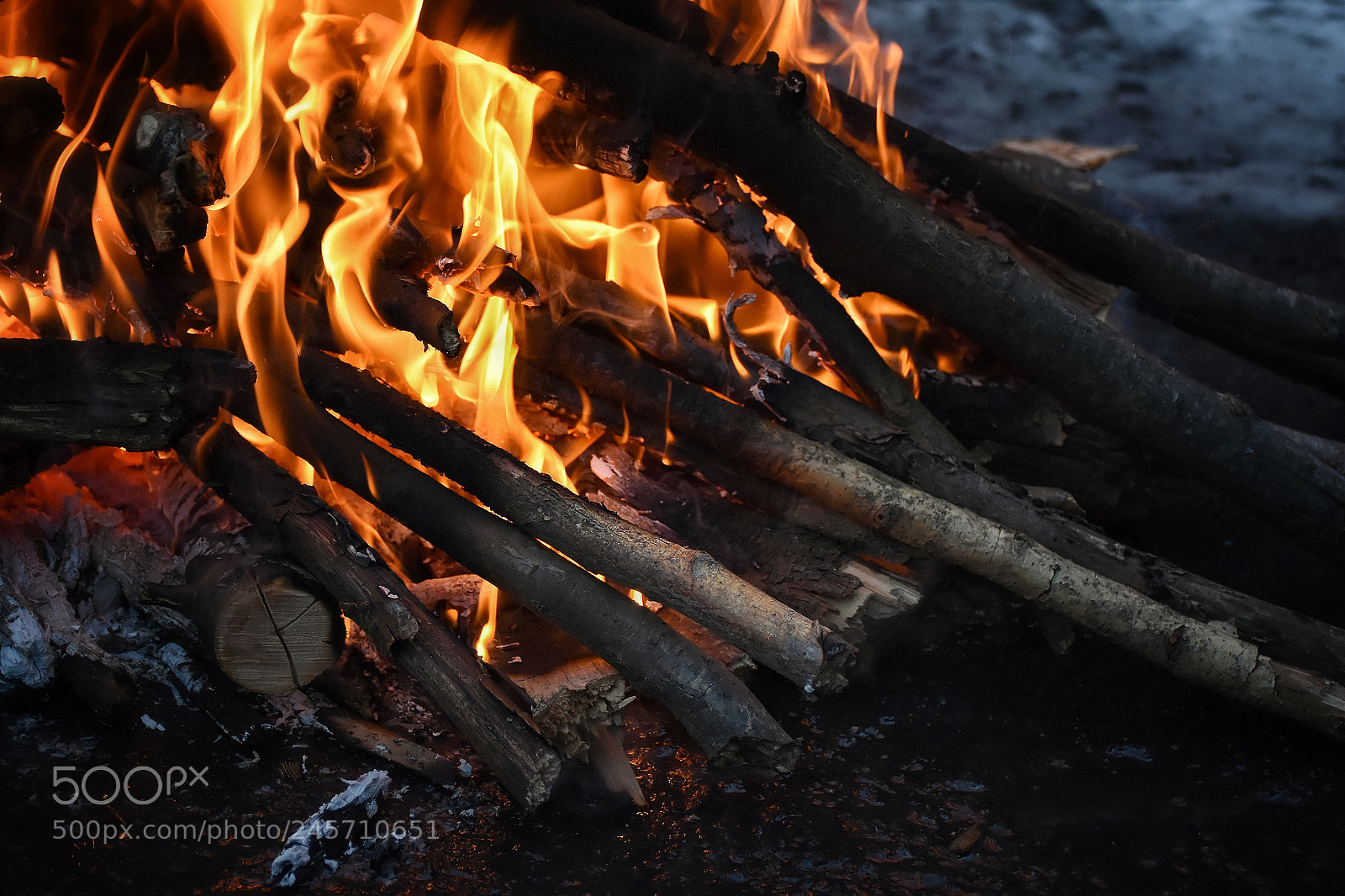 Nikon D7200 sample photo. Untitled photography