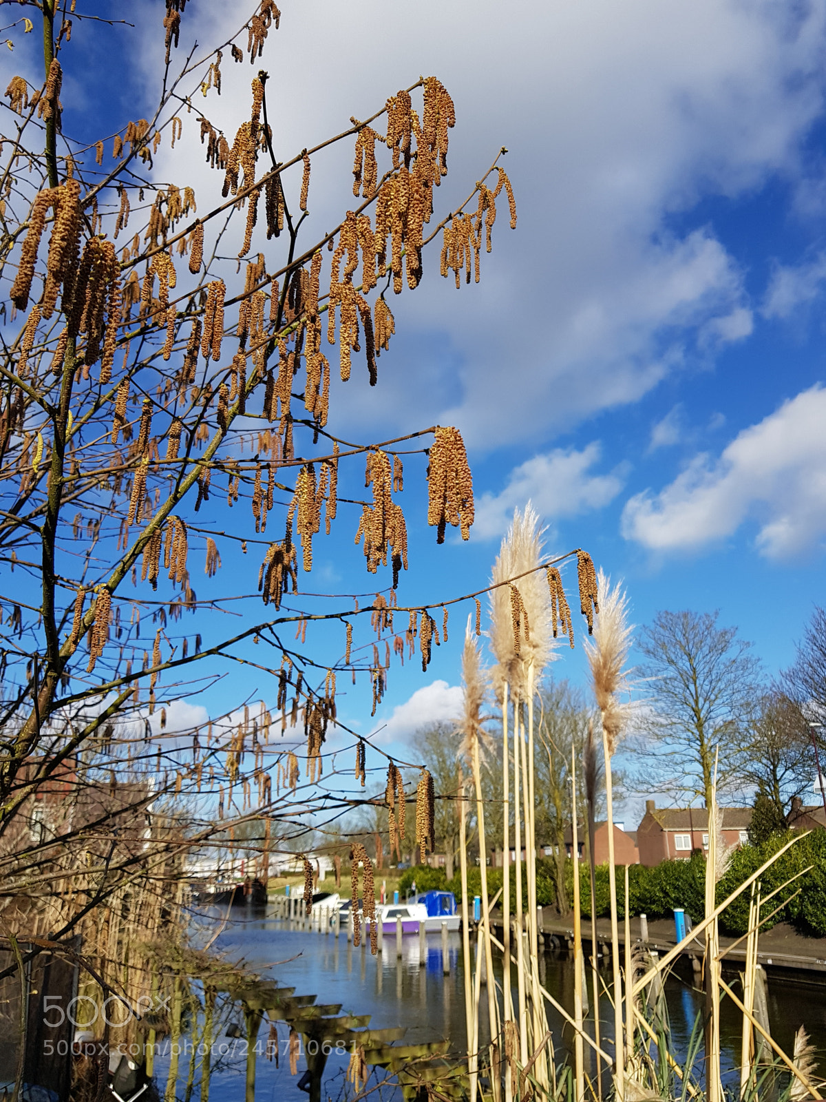 Samsung Galaxy S8+ sample photo. Untitled photography