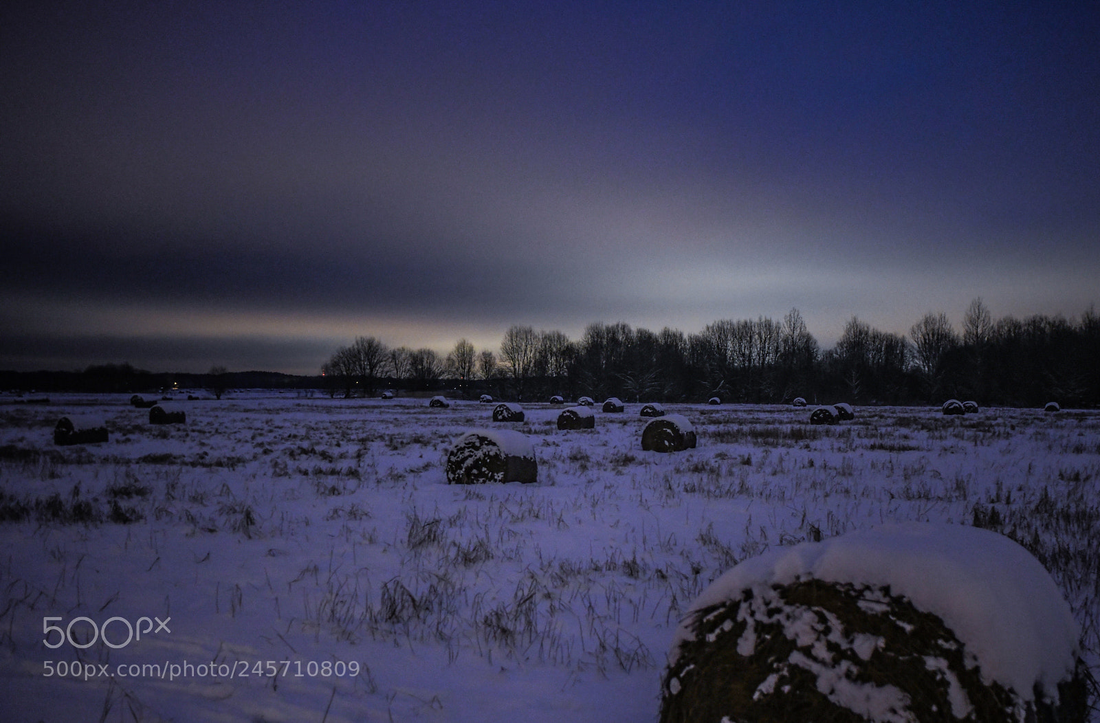 Nikon D850 sample photo. A baltic field photography
