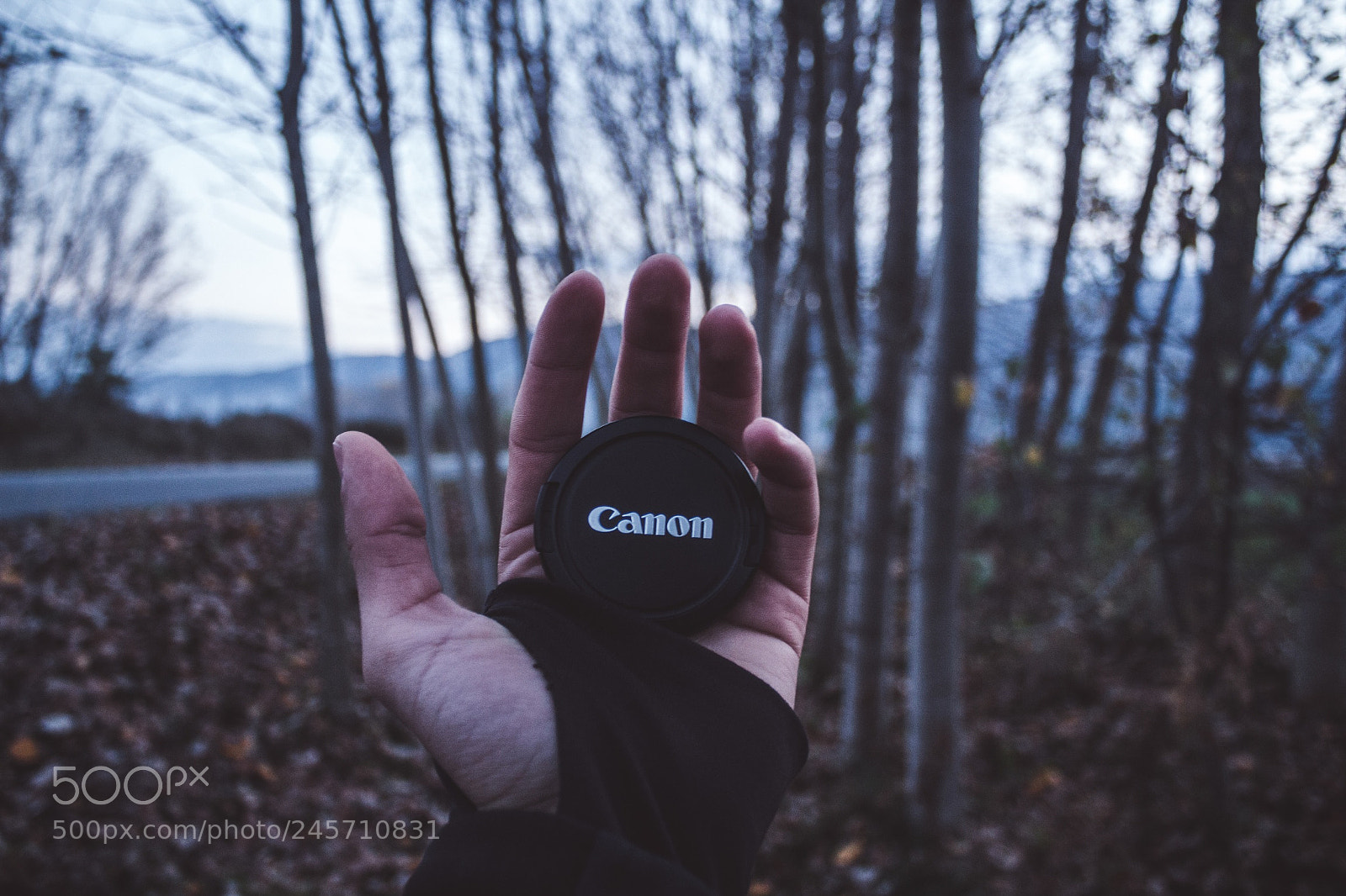 Canon EOS 700D (EOS Rebel T5i / EOS Kiss X7i) sample photo. Untitled photography