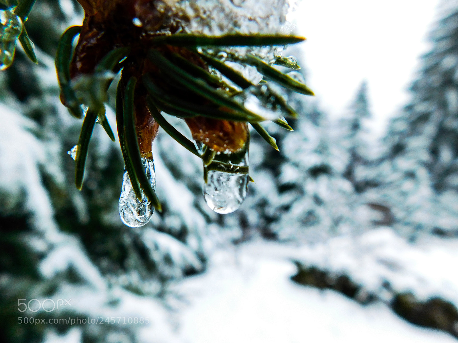 Nikon Coolpix L840 sample photo. Soul healing photography