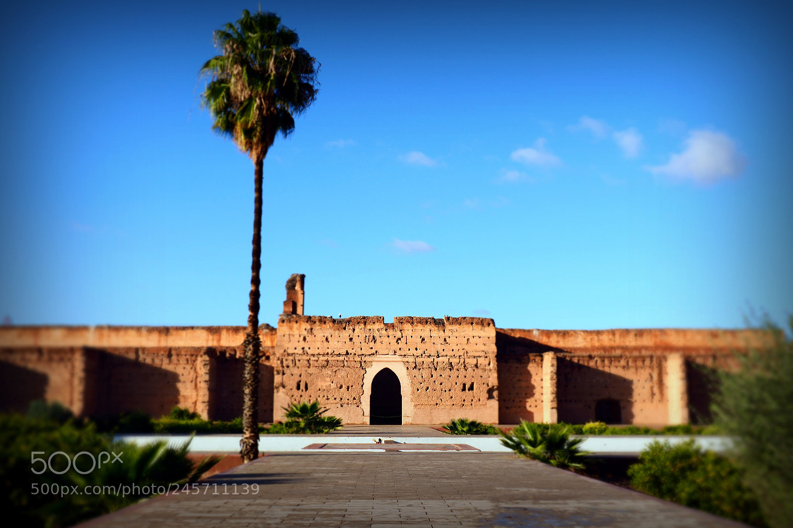 Olympus OM-D E-M1 Mark II sample photo. Badi palace photography