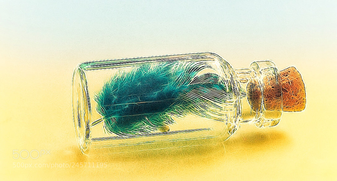 Olympus OM-D E-M5 II sample photo. Fractals in a bottle photography