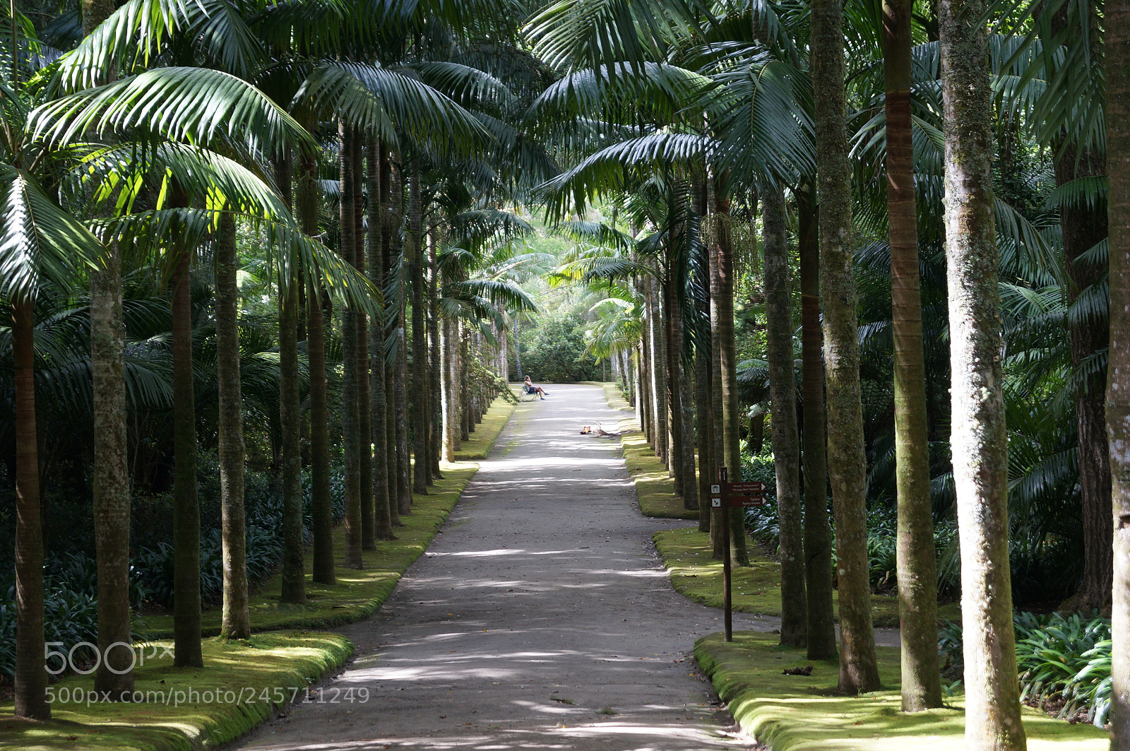 Sony SLT-A57 sample photo. Untitled photography