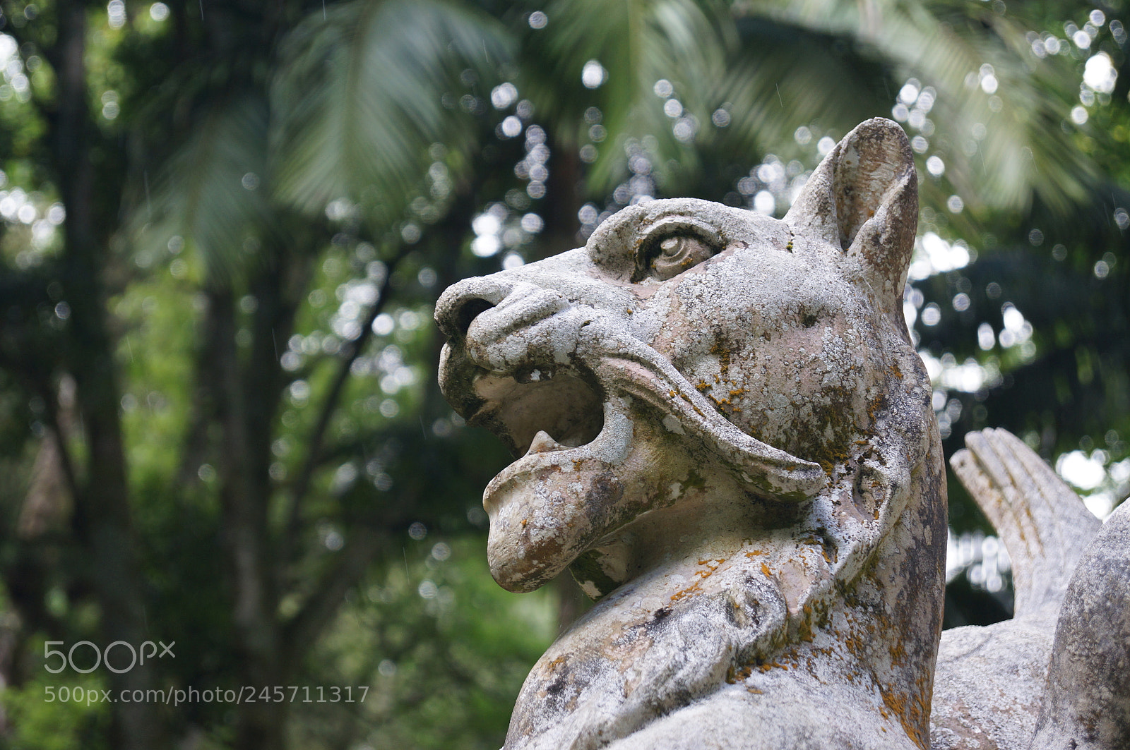 Sony SLT-A57 sample photo. Untitled photography