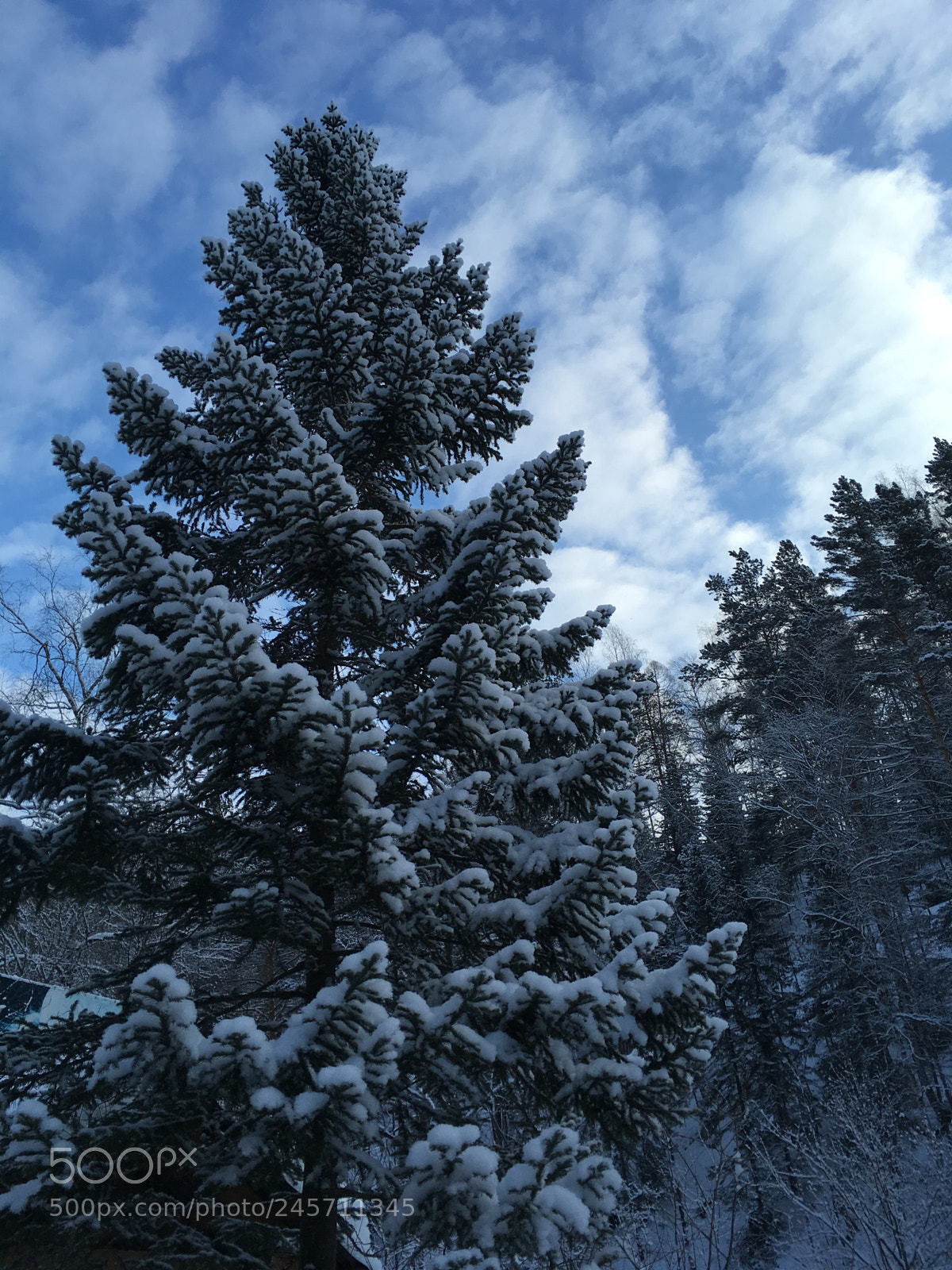 Apple iPhone SE sample photo. Winter ? photography