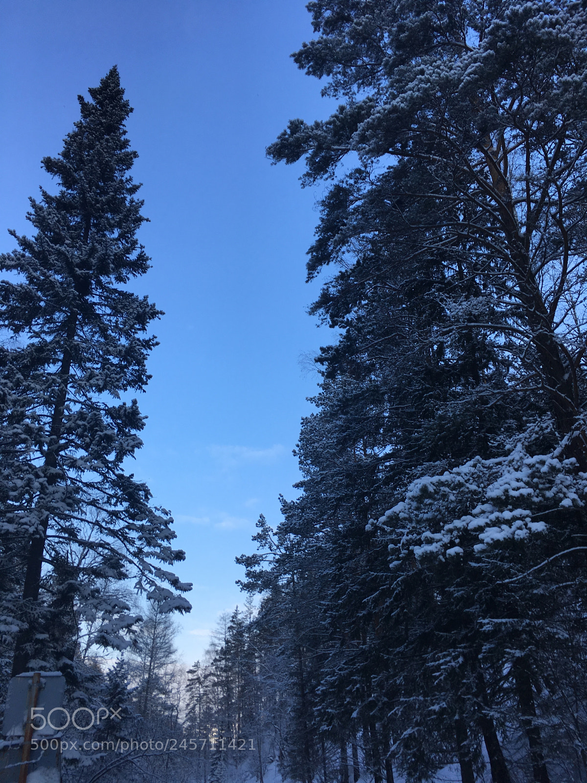 Apple iPhone SE sample photo. ❄️ photography