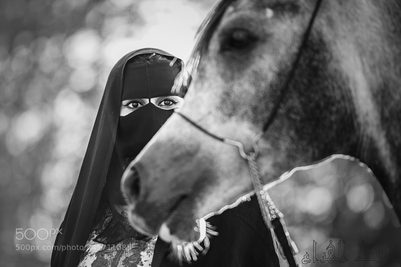 Nikon D850 sample photo. Bedouin woman photography