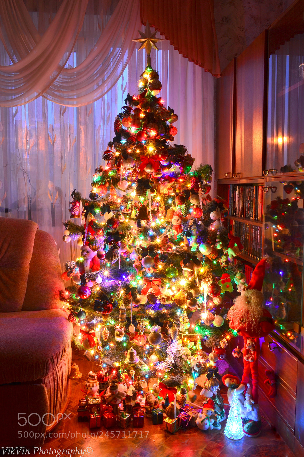 Nikon D3100 sample photo. My christmas tree photography